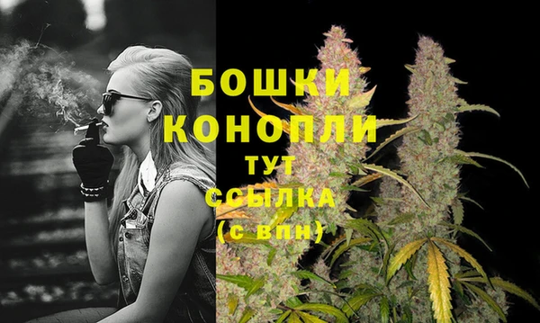 спиды Долгопрудный