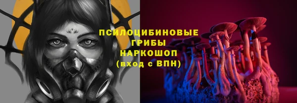 дурь Щучье
