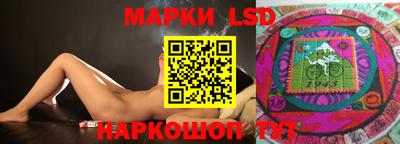 spice Кингисепп
