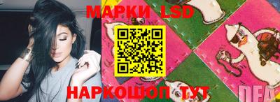 spice Кингисепп