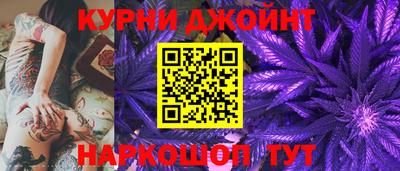 spice Кингисепп