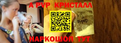 spice Кингисепп