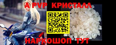 spice Кингисепп