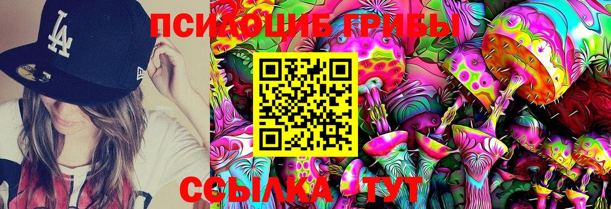Псилоцибиновые грибы GOLDEN TEACHER Сочи